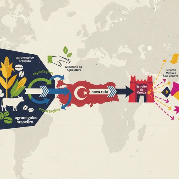 Agro brasileiro usará Turquia como rota alternativa para exportações