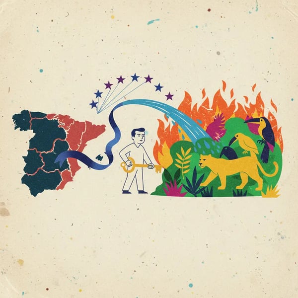 Espanha apoia Declaração do Pantanal e firma parceria no combate a incêndios