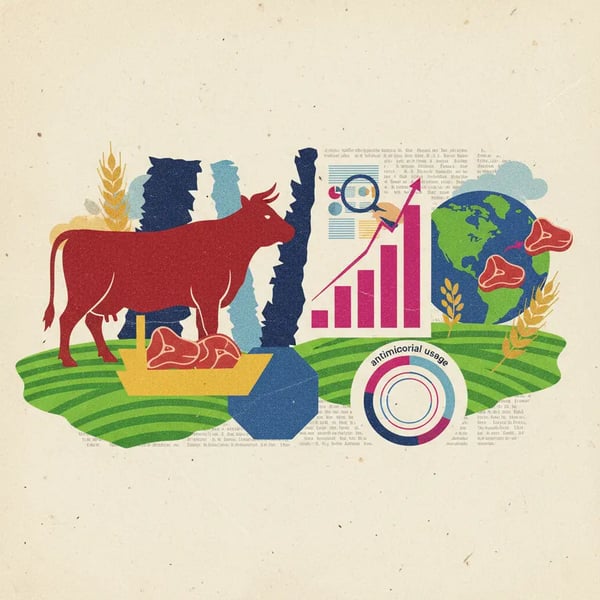 UE barra exportação de carne brasileira; setor reage